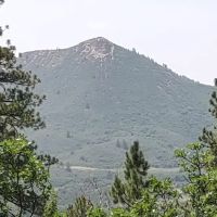 Target Tree Campground ico