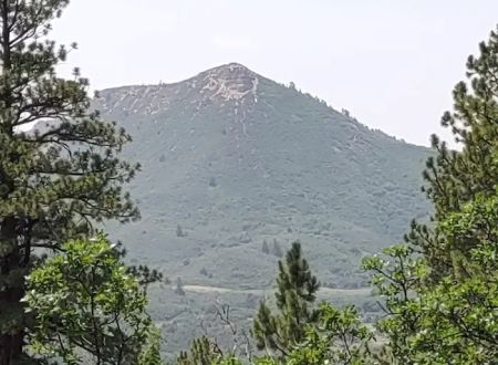 Target Tree Campground