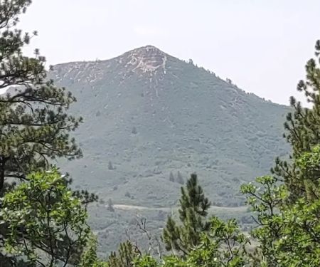Target Tree Campground
