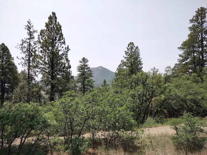 Target Tree Campground Picture 3
