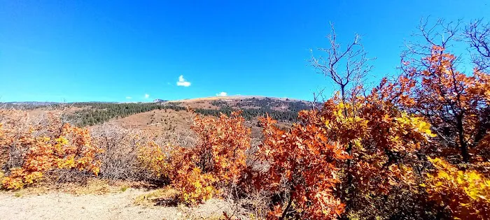 Target Tree Campground Picture 9