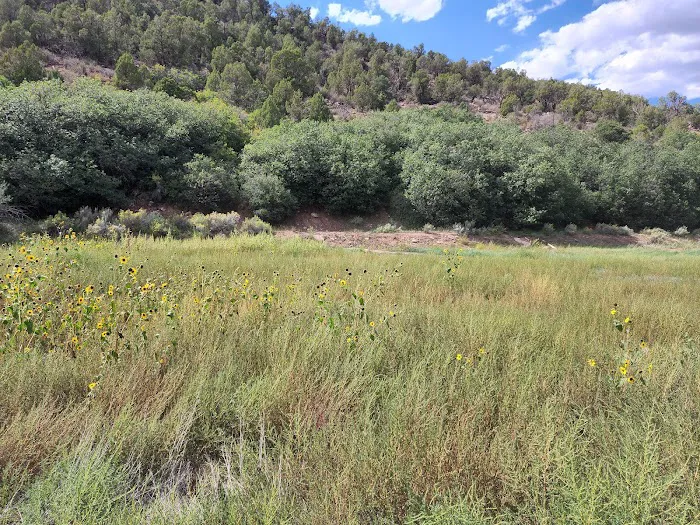 Bradfield Campground Picture 8
