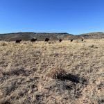 Courthouse Rock Campground