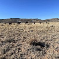 Courthouse Rock Campground ico