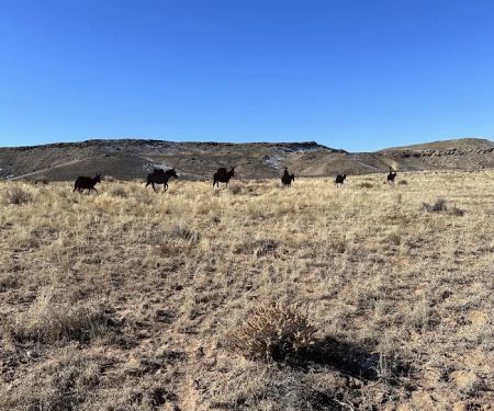 Courthouse Rock Campground