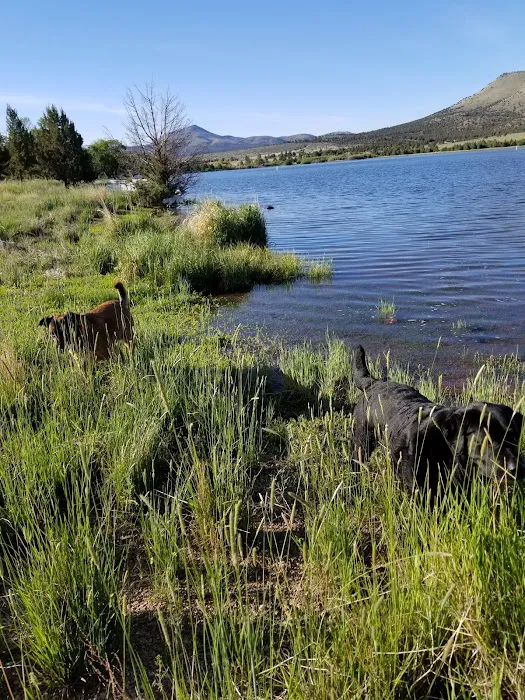 Haystack Reservoir Campground Picture 10