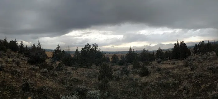 Henderson Flats OHV Trails Picture 3
