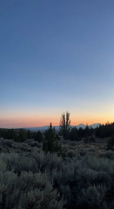 Henderson Flats OHV Trails Picture 6