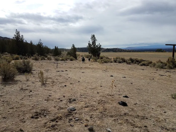 Henderson Flats OHV Trails Picture 7