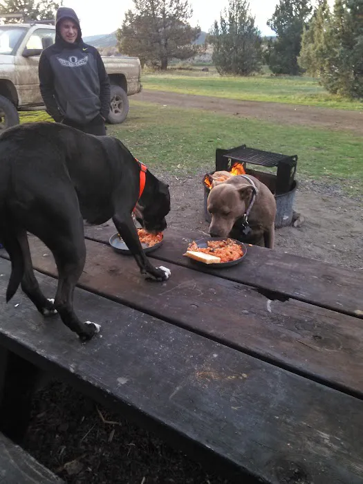 Cyrus Horse Campground Picture 8