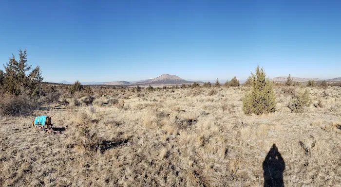 Cyrus Horse Campground Picture 6