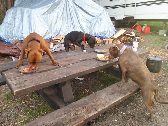 Cyrus Horse Campground Picture 7