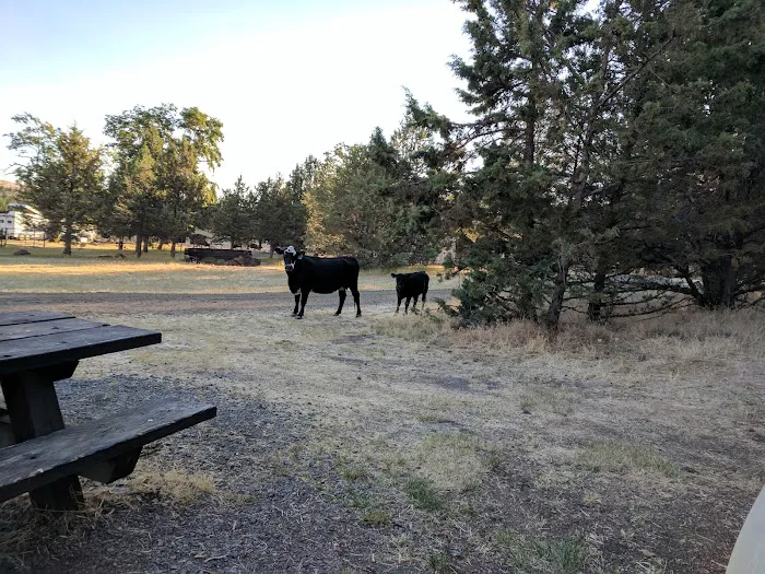 Cyrus Horse Campground Picture 2