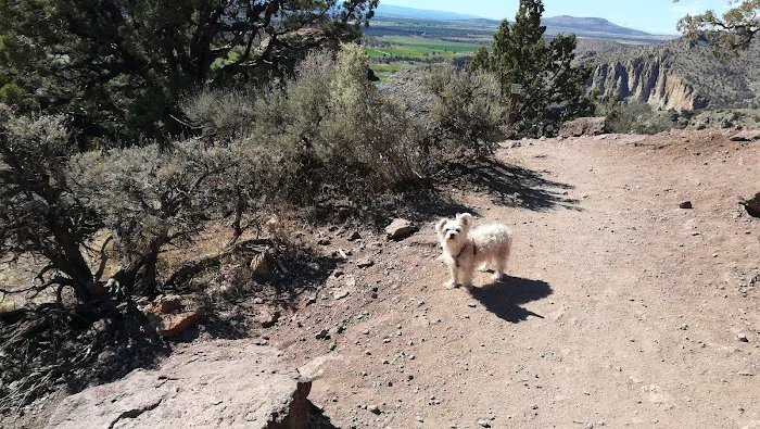 Smith Rock Bivouac Area Picture 3