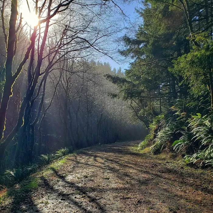 Rock Creek Campground Picture 9