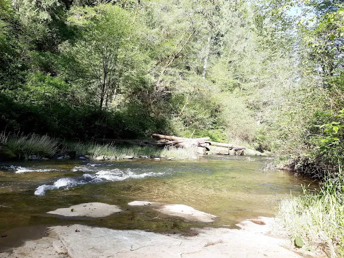 North Fork Siuslaw Campground Picture 6