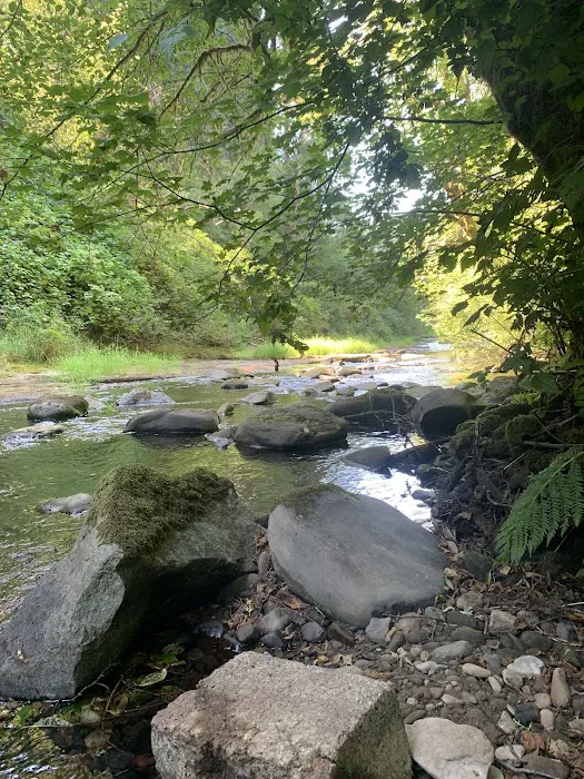 North Fork Siuslaw Campground Picture 8
