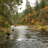 Vincent Creek Campground ico