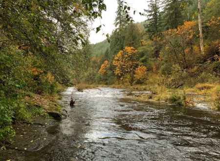 Vincent Creek Campground