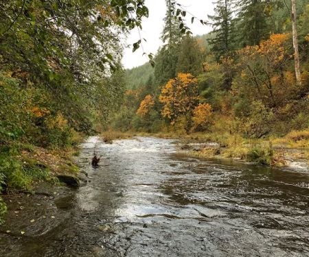 Vincent Creek Campground