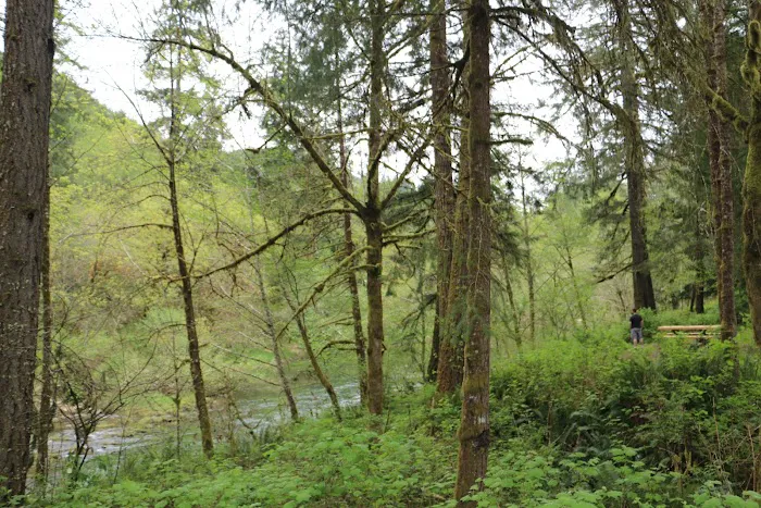 Vincent Creek Campground Picture 7