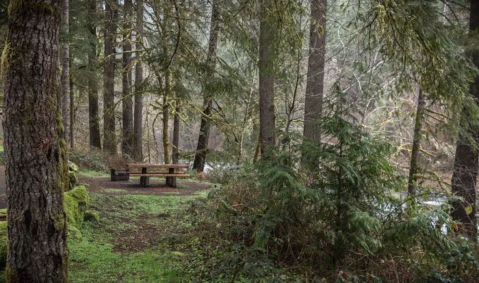 Vincent Creek Campground Picture 8
