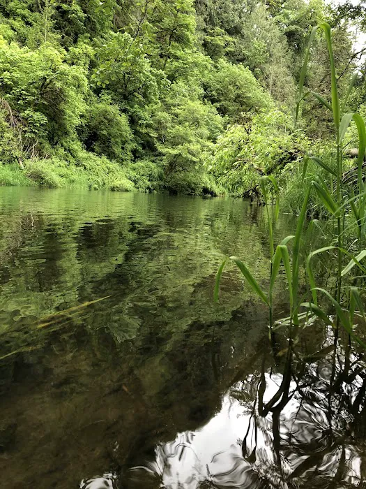 Smith River Campground Picture 2