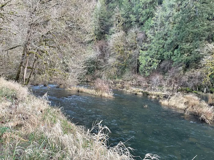 Smith River Campground Picture 5