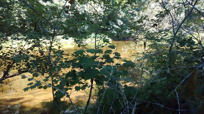 Smith River Campground Picture 3