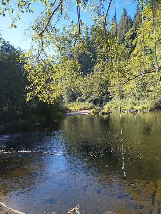 Smith River Falls Campground Picture 4