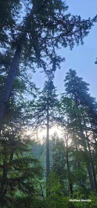 Smith River Falls Campground Picture 2