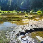 Smith River Falls Campground