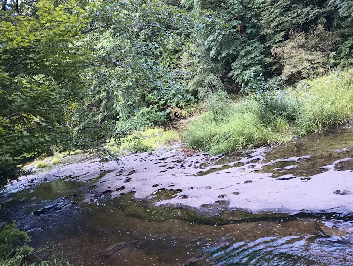 Smith River Falls Campground Picture 7