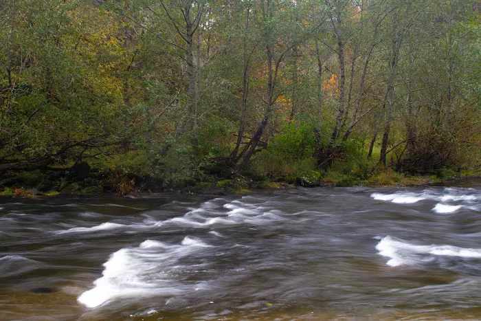 Fawn Creek Campground Picture 4