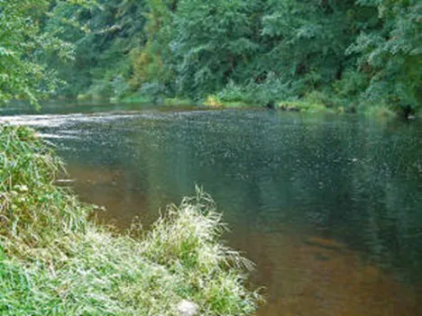 Fawn Creek Campground Picture 2