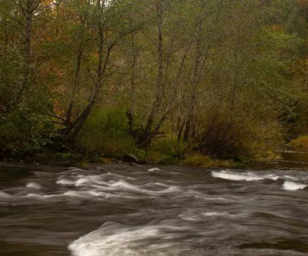 Fawn Creek Campground