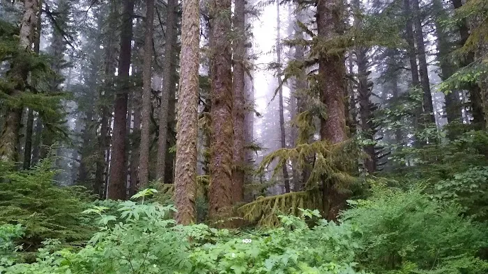 Horse Creek Campground Picture 5
