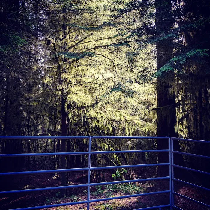 Horse Creek Campground Picture 9