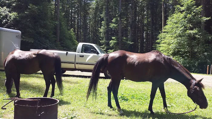 Horse Creek Campground Picture 10