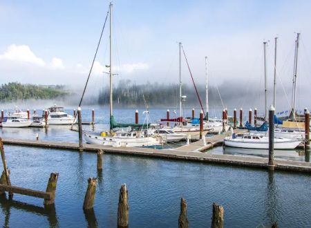Port of Siuslaw Campground