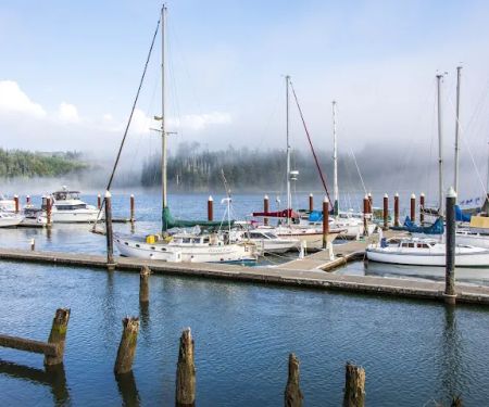 Port of Siuslaw Campground
