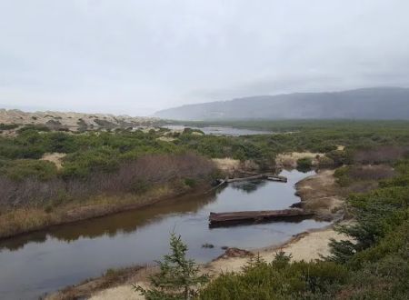 Sutton Campground
