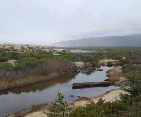 Sutton Campground