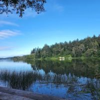 Nightingale's Fishing Camp ico