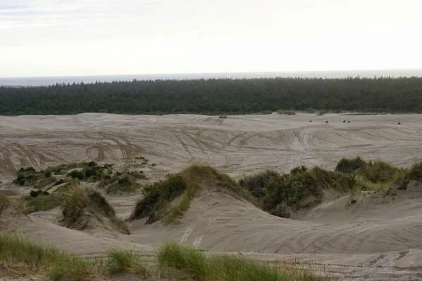 Thousand Trails South Jetty Picture 5