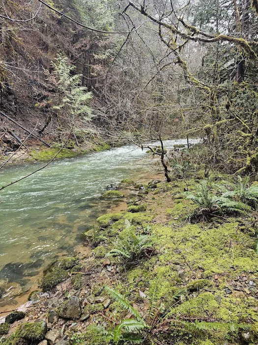 Sharps Creek Recreation Site Picture 1