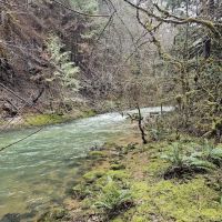 Sharps Creek Recreation Site ico
