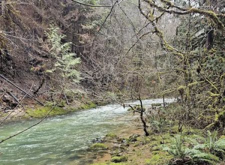 Sharps Creek Recreation Site