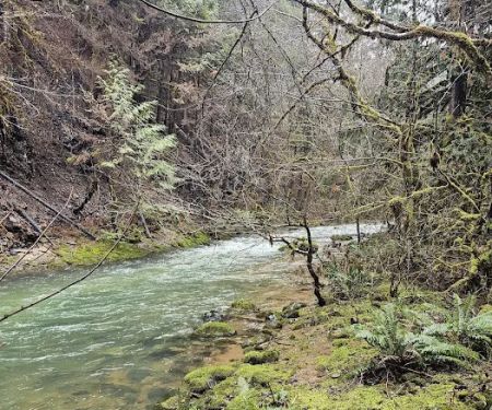 Sharps Creek Recreation Site
