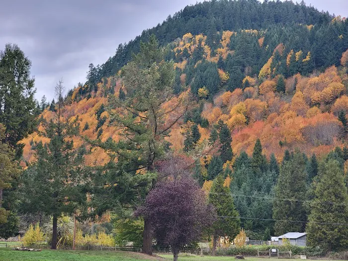Sharps Creek Recreation Site Picture 2